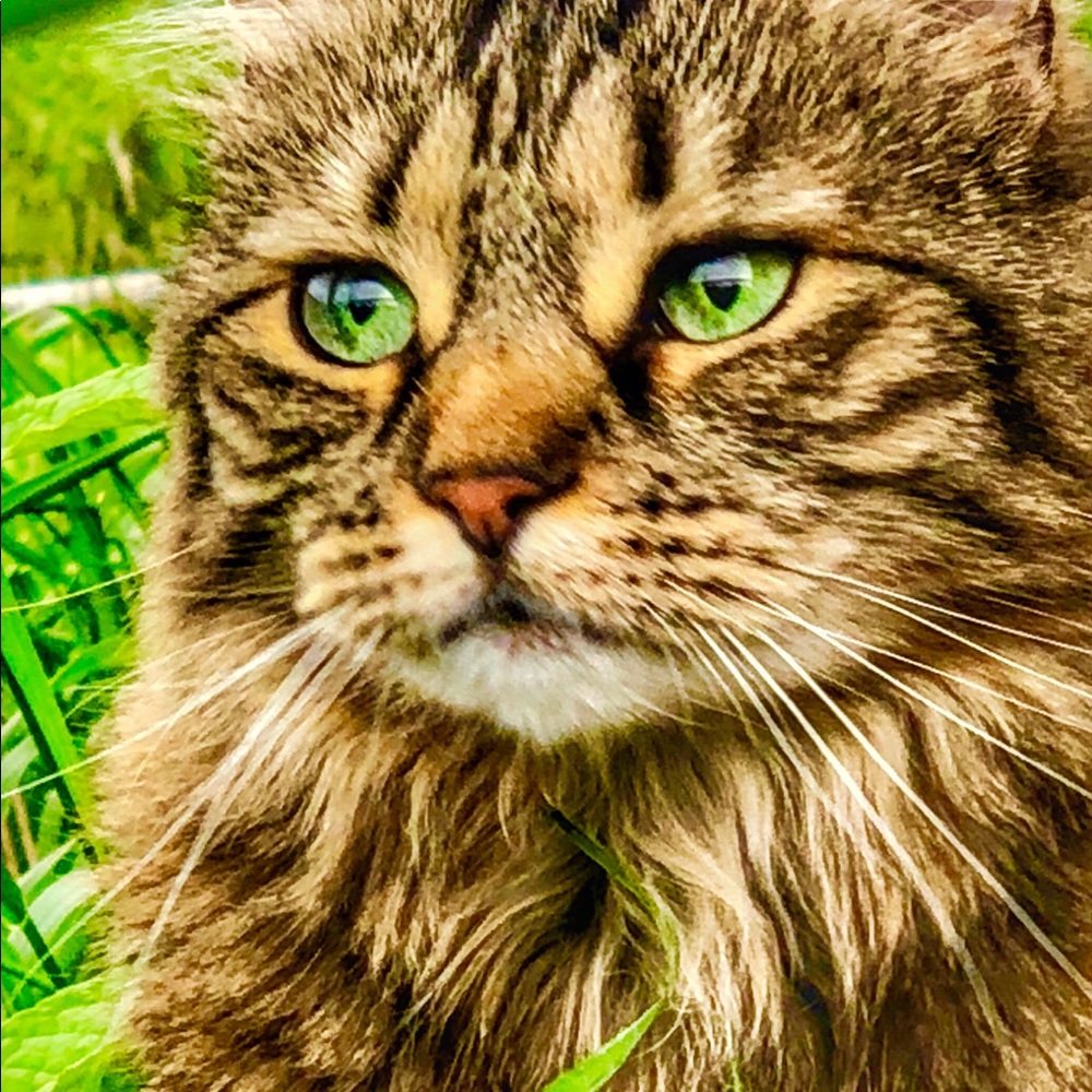 Meet your Posher, Tara